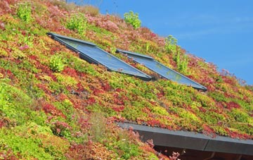 North Cornelly living roof systems
